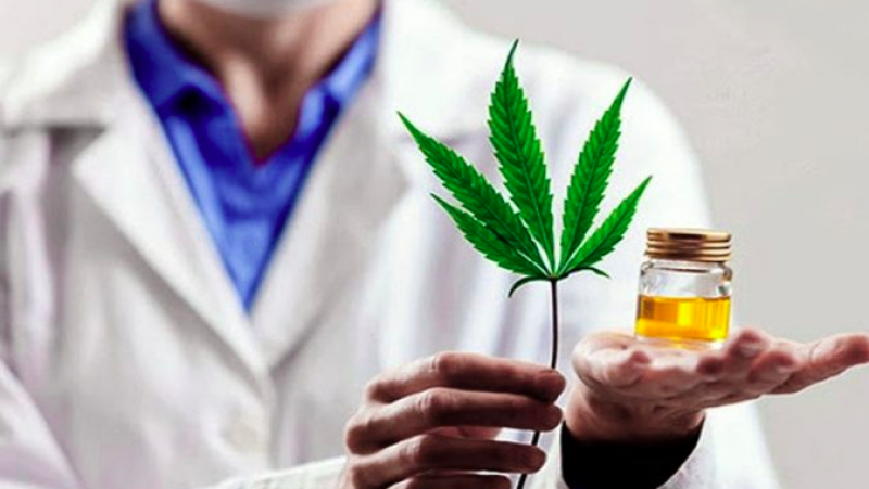 Crean registro para poder acceder al cannabis medicinal